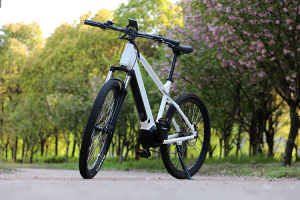 Alternative view of Off Road Mountain Ebike (48v 500w middle drive 7 speed)